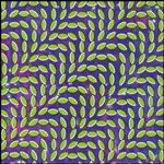 animalcollective_merriweather_150