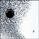 wilco_sky_150